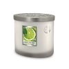 276260215-Lime-Splash-AS-1.jpg